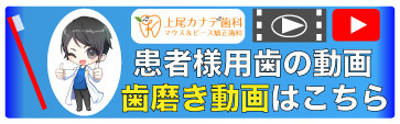 上尾の歯医者の歯の動画はこちら