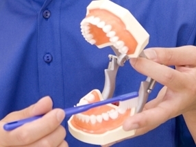 歯周病の歯磨き