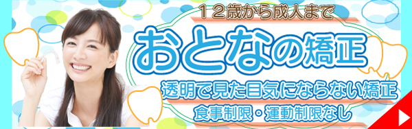 大人のマウスピース矯正|上尾市