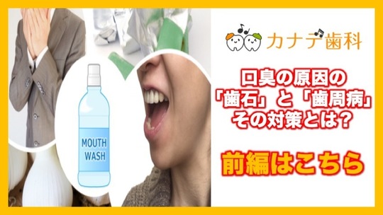 歯周病の治し方 自宅でできるケアから歯医者でうける治療まで 前編 上尾の歯医者カナデ歯科 公式 マウスピース矯正 虫歯 歯周病