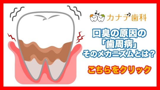 臭い 口臭 うんち の